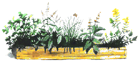 flowers.gif (15173 bytes)